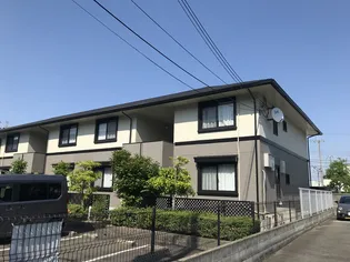 ジュネスハイカムールの画像