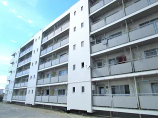 ビレッジハウス白枝 2号棟【1階】の外観