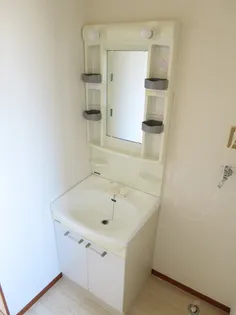 仲田ハイツ【2階】の内装