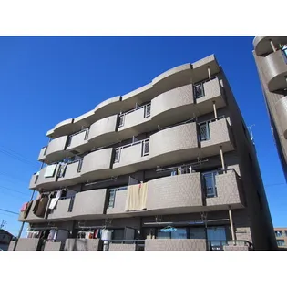 フェアリーライトの画像