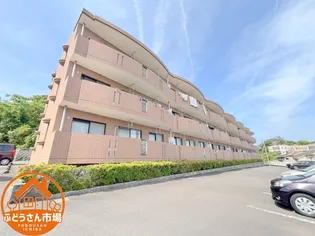 鹿児島県鹿児島市吉野町【マンション】の外観