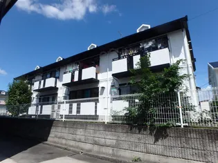 グリーンライトの画像