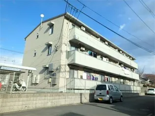 シェリールの画像