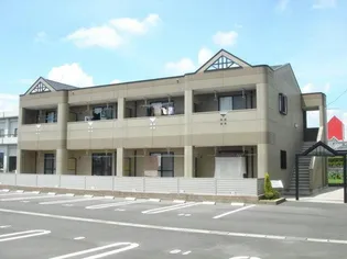 マロニエの画像