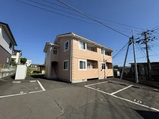 セリーヌAの画像