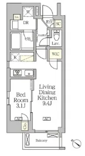アジールコート松濤【3階】の間取り