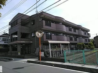 コンフォートピレアの画像