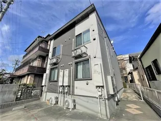 サイプレスの画像