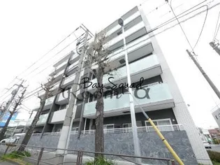 ライムグリーンの画像