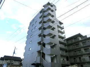 ピュア ダイコーIIの画像