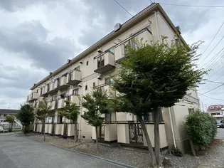 ソフィアBの画像