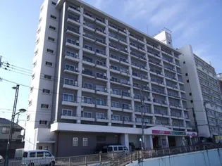 ハヤマビルの画像