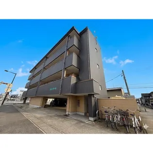 ラベンダーIVの画像