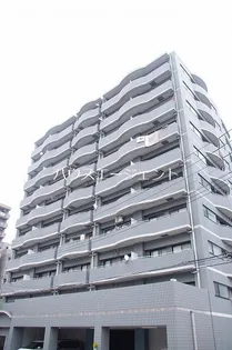 コンフォートMSの画像