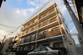 ステラマリスの画像