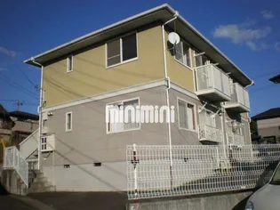 エクセレントモーリーの画像