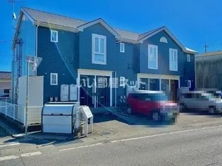 セルバ バロンの画像