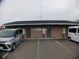 ロータス フラワーの画像