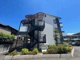 グリーン フォーレストの画像