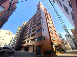 メゾン・ド・一光【10階】の外観