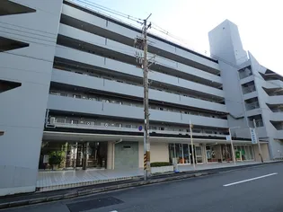 京都府京都市北区衣笠高橋町【マンション】の外観