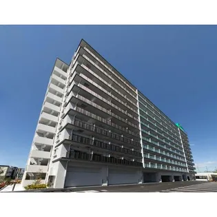 スプランディッドⅦの画像