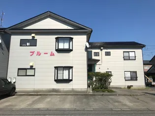 ブルームの画像