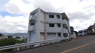 サンシャイン赤崎【1階】の外観