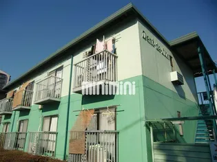 ダンデリオンの画像