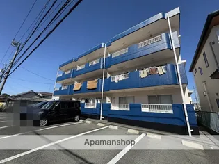 松下細島ライフ【3階】の外観