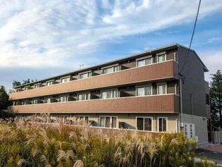 ボヌールYの画像