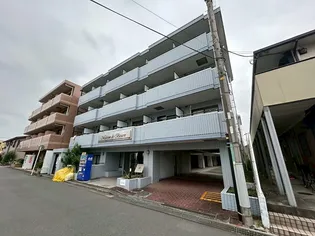 神奈川県厚木市岡田1【マンション】の外観