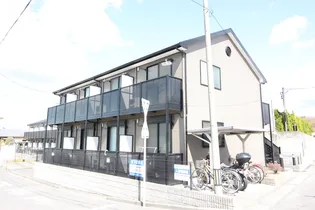 アンプルールリーブルキニーネSUNの画像