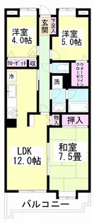 ライオンズマンション津田沼前原【5階】の間取り