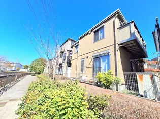 シェスタの画像