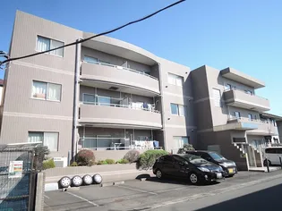 プラウトンの画像