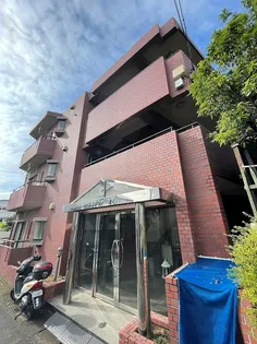 カーソルサヴァリンナの画像