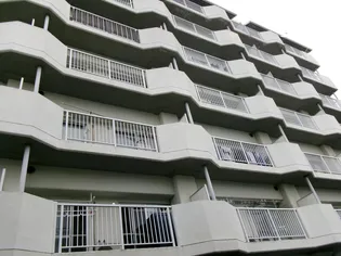 岡山県総社市中央2【マンション】の外観