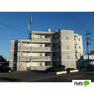 プレセランスアドニードの画像