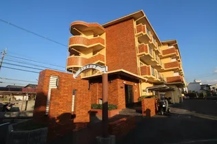 ウィスタリアの画像