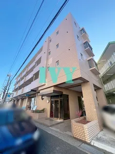 コシンヤIIIの画像