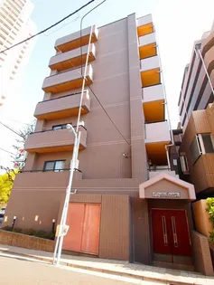 エヴァーグリーンの画像