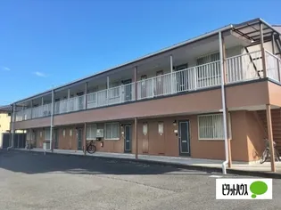 サープラスTの画像