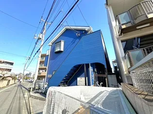 アマリリスの画像