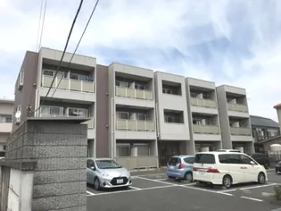 アンプルールフェールKOKIの画像
