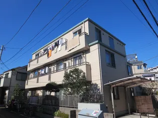 シェモアの画像
