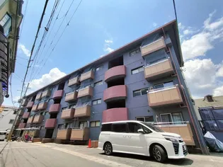 セレクトMの画像