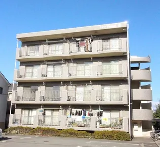 メゾンデンベイα【3階】の外観