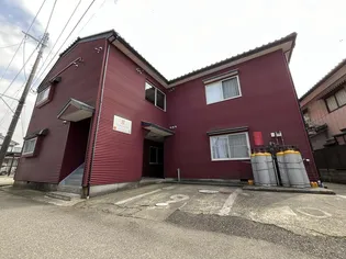 ルピナス5の画像