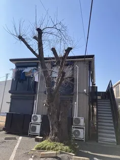 バードヒルの画像